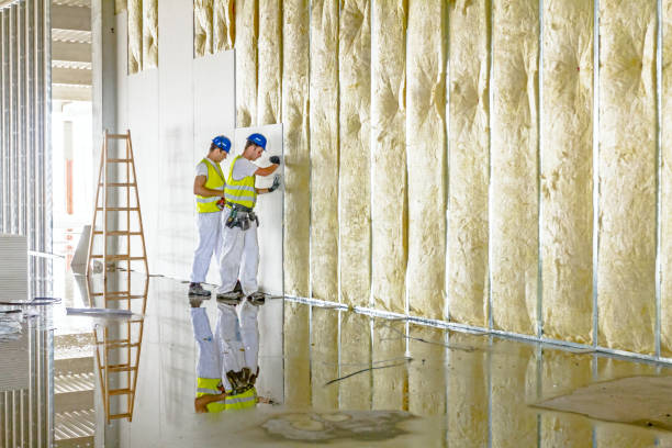Best Insulation Installation Services in Perris, CA